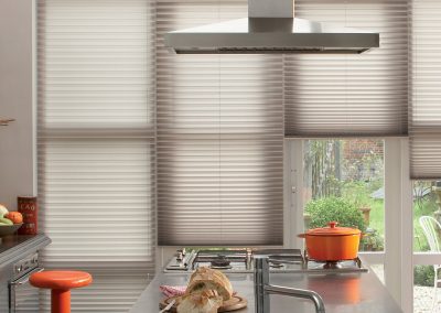 Pleated Blinds